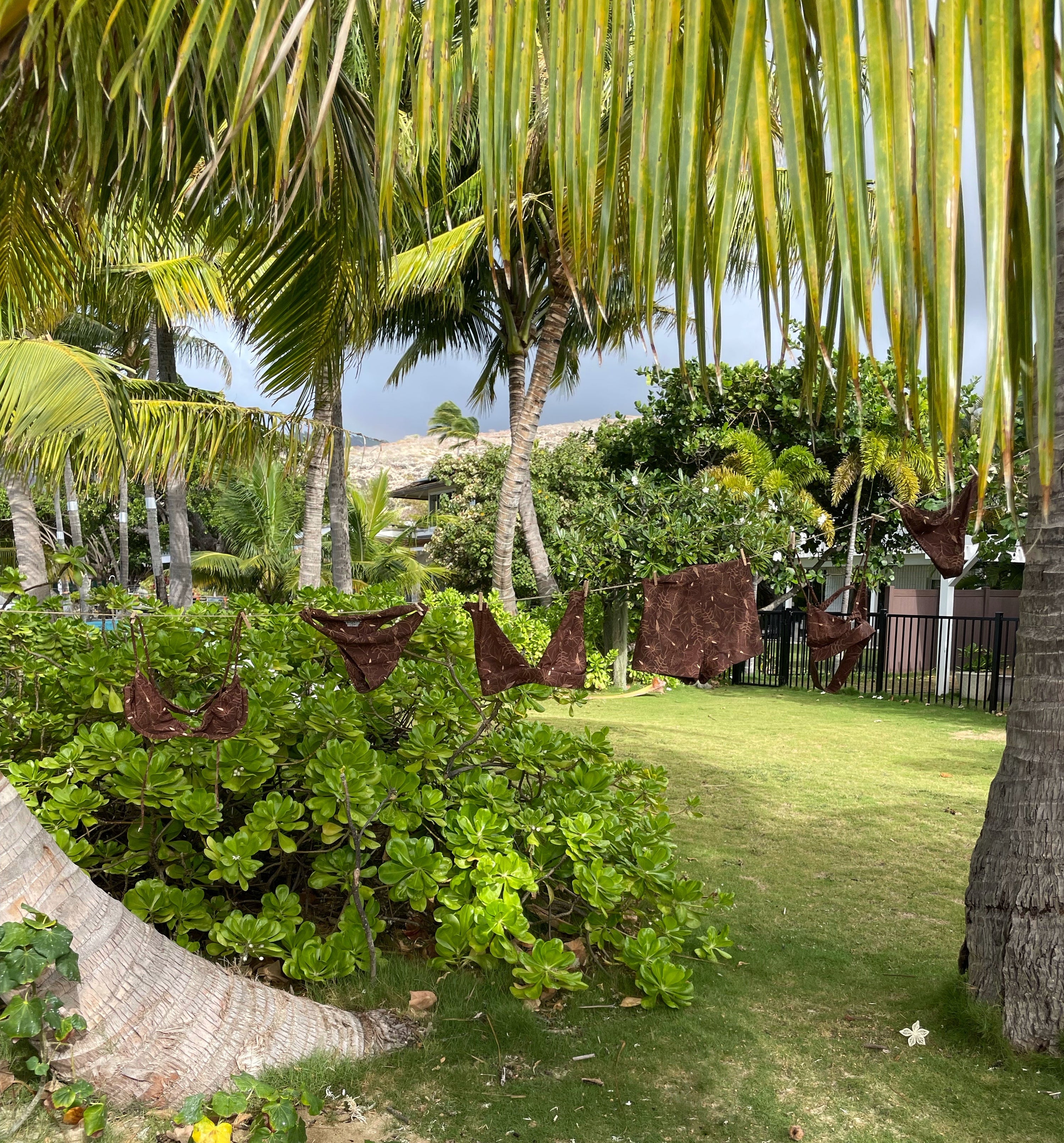 coconut haze collection bikinis hanging on a clothesline in front of palm trees in hawaii